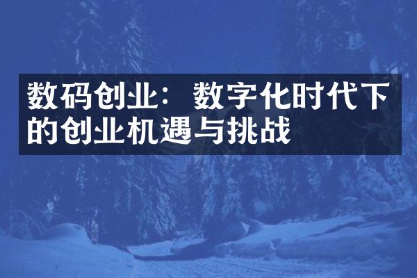 数码创业：数字化时代下的创业机遇与挑战