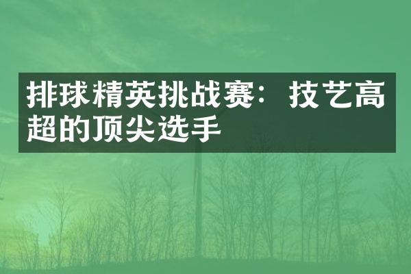 排球精英挑战赛：技艺高超的顶尖选手