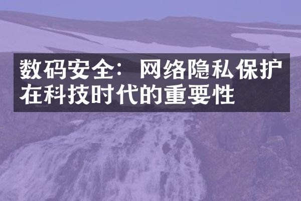 数码安全：网络隐私保护在科技时代的重要性