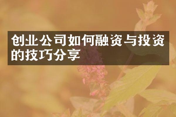 创业公司如何融资与投资的技巧分享