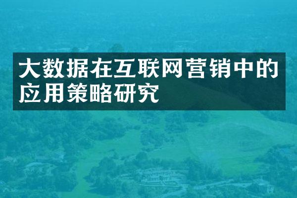 大数据在互联网营销中的应用策略研究