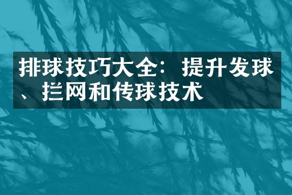 排球技巧大全：提升发球、拦网和传球技术