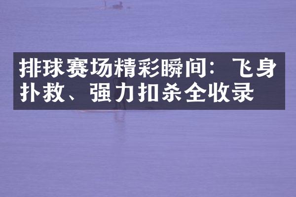 排球赛场精彩瞬间：飞身扑救、强力扣杀全收录