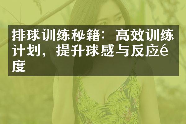 排球训练秘籍：高效训练计划，提升球感与反应速度