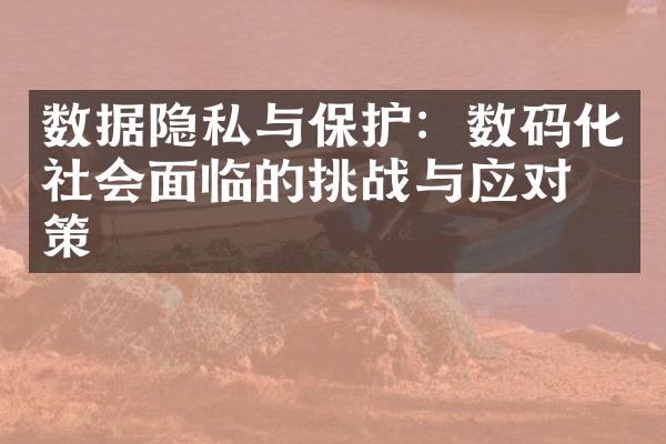 数据隐私与保护：数码化社会面临的挑战与应对之策