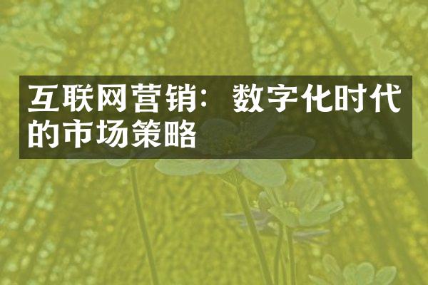 互联网营销：数字化时代的市场策略