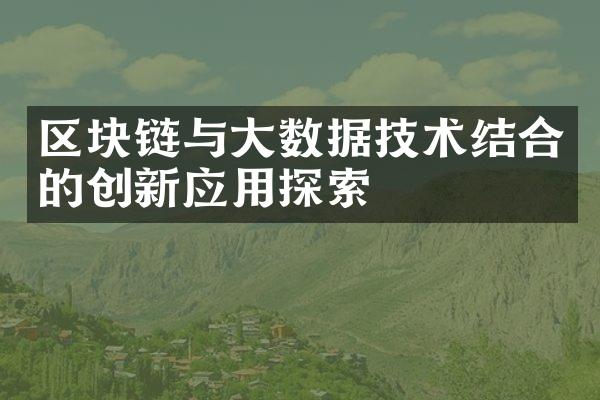 区块链与大数据技术结合的创新应用探索