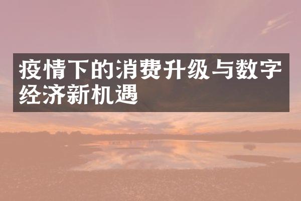 疫情下的消费升级与数字经济新机遇