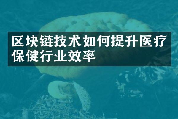 区块链技术如何提升医疗保健行业效率