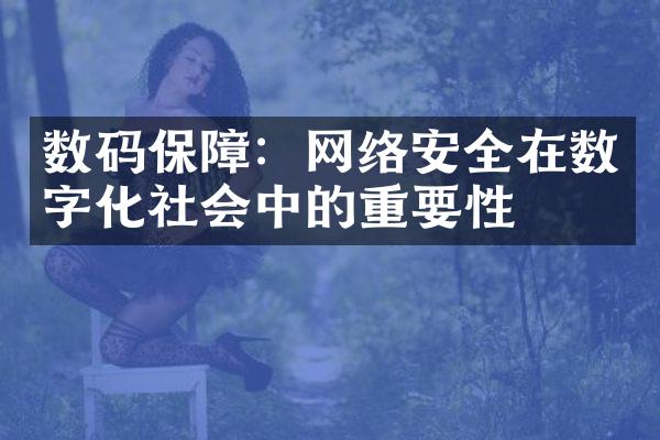 数码保障：网络安全在数字化社会中的重要性