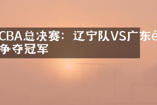 CBA总决赛：辽宁队VS广东队争夺冠军