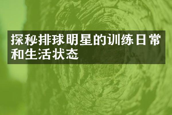 探秘排球明星的训练日常和生活状态