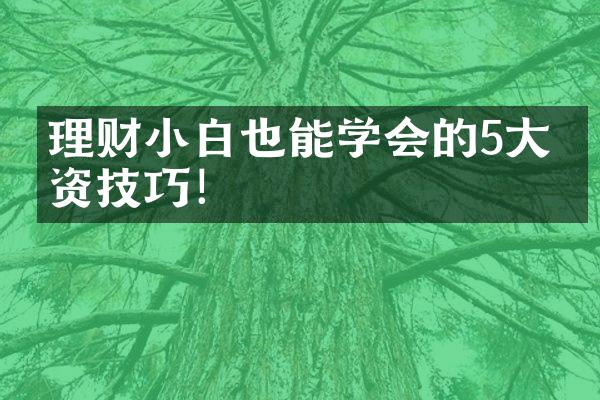 理财小白也能学会的5大投资技巧！