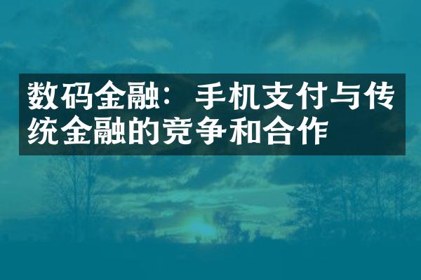 数码金融：手机支付与传统金融的竞争和合作