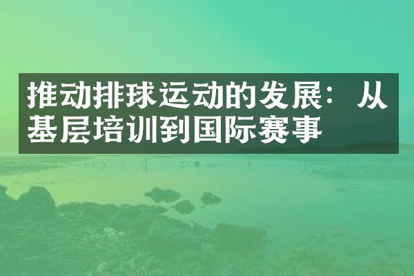 推动排球运动的发展：从基层培训到国际赛事