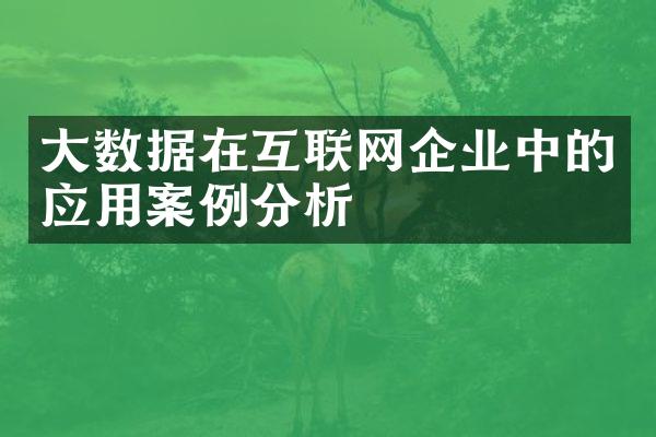 大数据在互联网企业中的应用案例分析