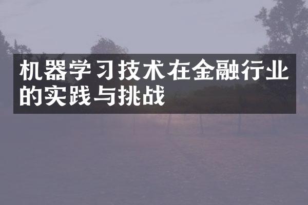 机器学技术在金融行业的实践与挑战