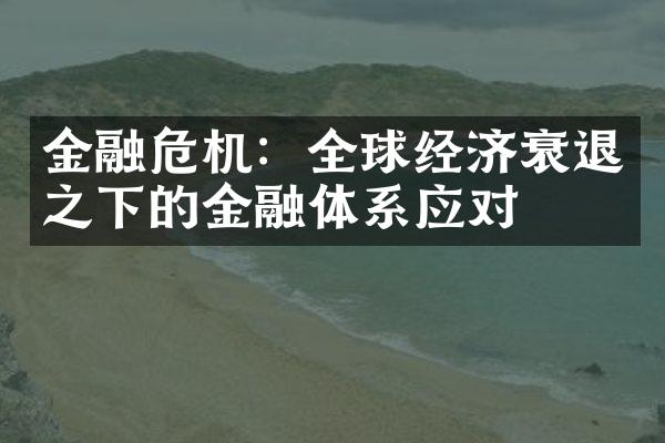 金融危机：全球经济衰退之下的金融体系应对