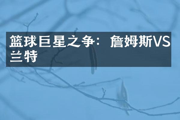 篮球巨星之争：詹姆斯VS杜兰特