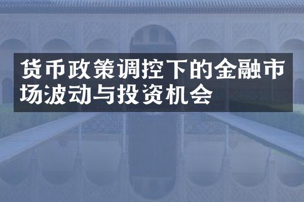 货币政策调控下的金融市场波动与投资机会