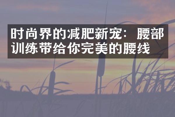 时尚界的减肥新宠：腰部训练带给你完美的腰线！