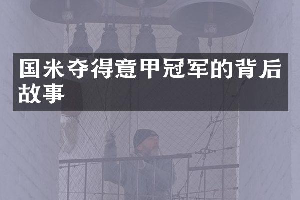 国米夺得意甲冠军的背后故事