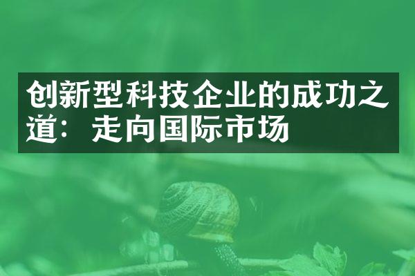 创新型科技企业的成功之道：走向国际市场