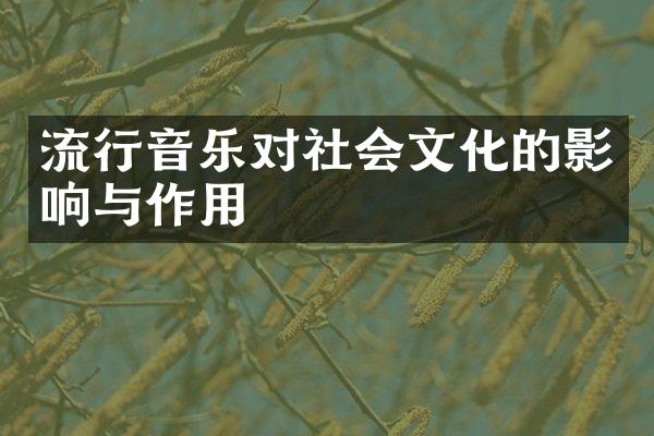 流行音乐对社会文化的影响与作用