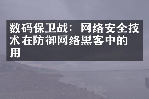 数码保卫战：网络安全技术在防御网络黑客中的作用