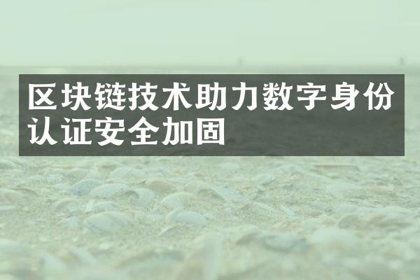 区块链技术助力数字身份认证安全加固