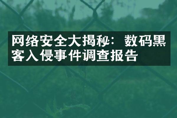 网络安全大揭秘：数码黑客入侵事件调查报告