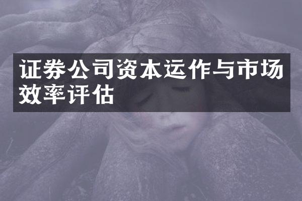 证券公司资本运作与市场效率评估