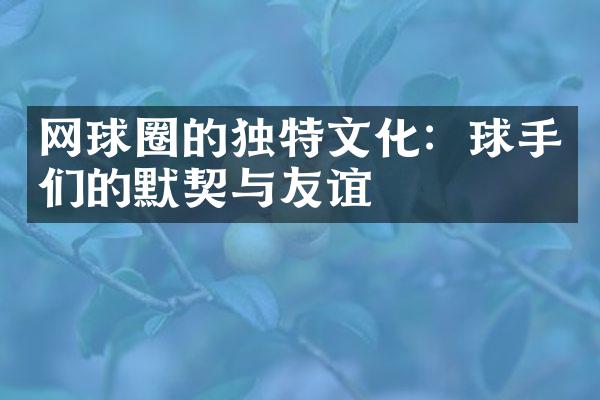 网球圈的独特文化：球手们的默契与友谊