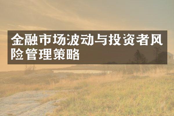 金融市场波动与投资者风险管理策略