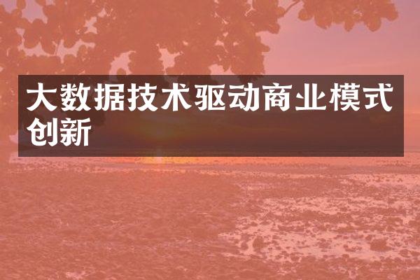 大数据技术驱动商业模式创新