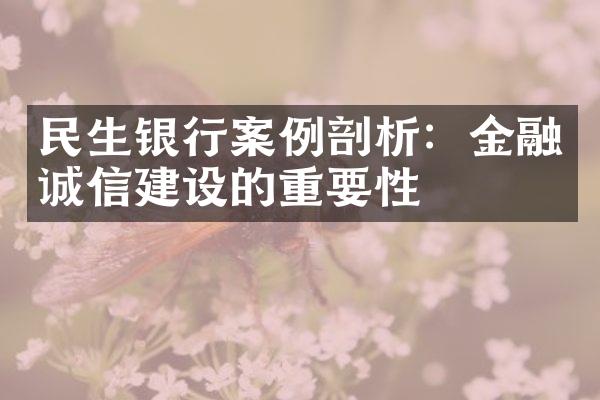 民生银行案例剖析：金融诚信建设的重要性