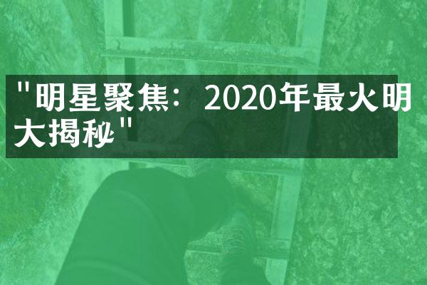 "明星聚焦：2020年最火明星大揭秘"