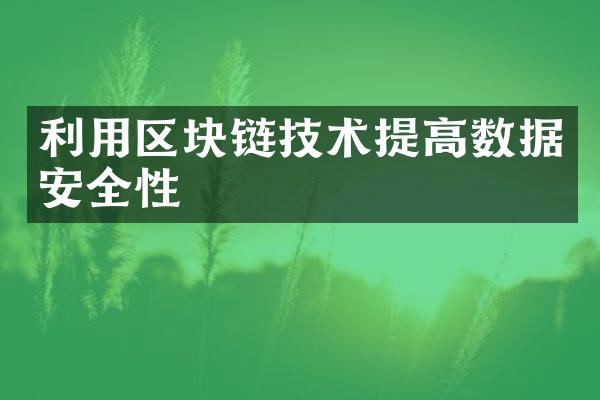 利用区块链技术提高数据安全性