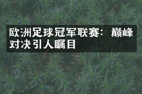 欧洲足球冠军联赛：巅峰对决引人瞩目