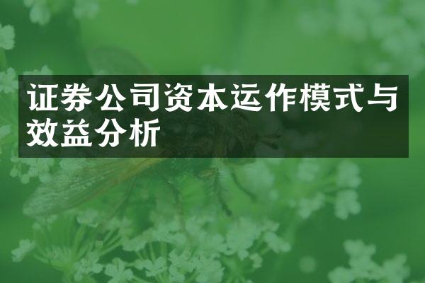 证券公司资本运作模式与效益分析