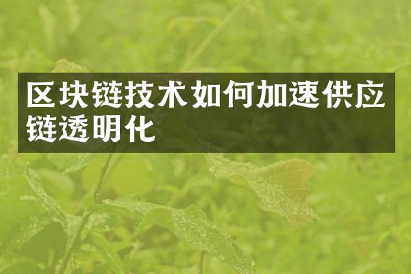 区块链技术如何加速供应链透明化