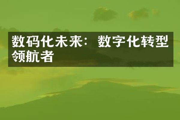 数码化未来：数字化转型领航者