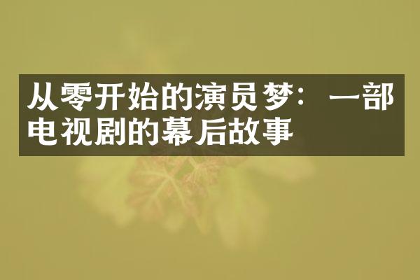 从零开始的演员梦：一电视剧的幕后故事