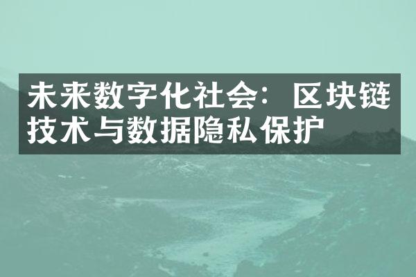 未来数字化社会：区块链技术与数据隐私保护