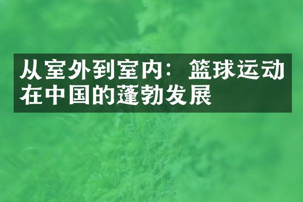 从室外到室内：篮球运动在中国的蓬勃发展