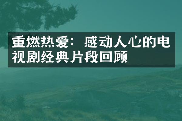 重燃热爱：感动人心的电视剧经典片段回顾