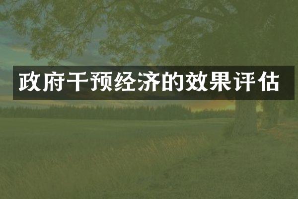 政府干预经济的效果评估