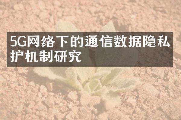 5G网络下的通信数据隐私保护机制研究