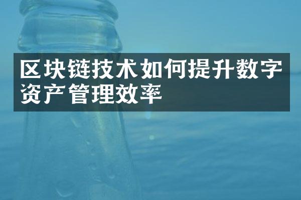 区块链技术如何提升数字资产管理效率