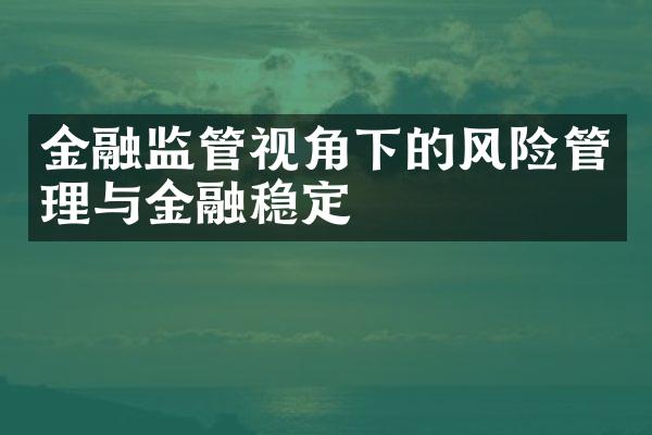 金融监管视角下的风险管理与金融稳定